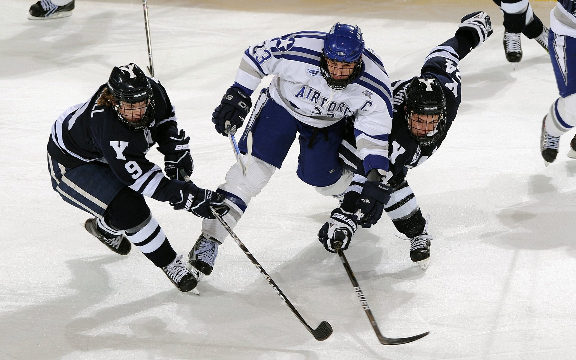 体育明星影响全球粉丝