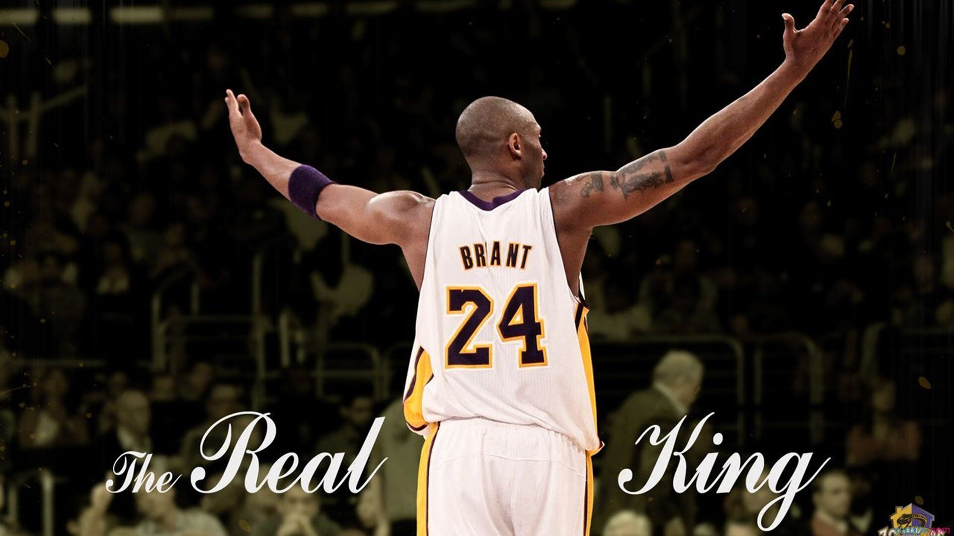 女子体育赛事关注度提高